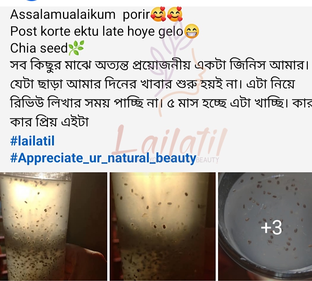 রিভিউ ১