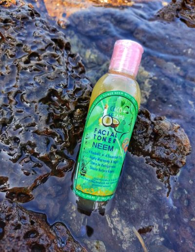 168849905_1666042366939709_7167725556368440140_n