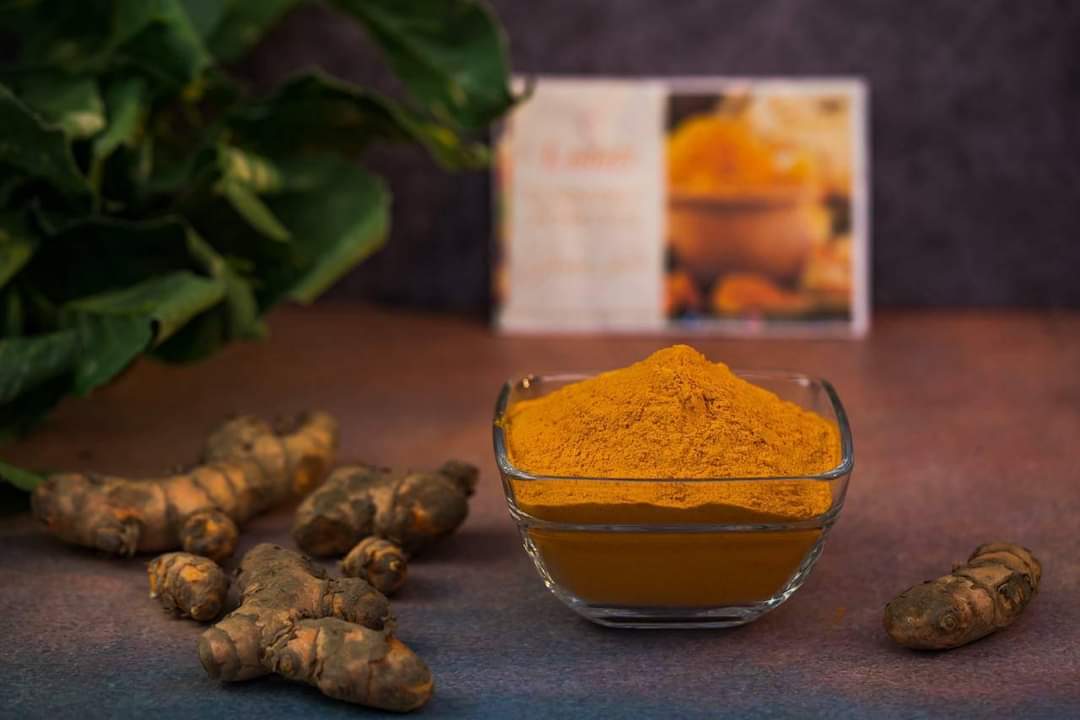 FB_IMG_1686140578588